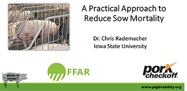 Instructional SOP video on how to reduce sow mortality.