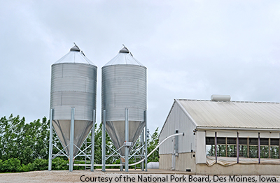 Dual feed bins by finishing building.